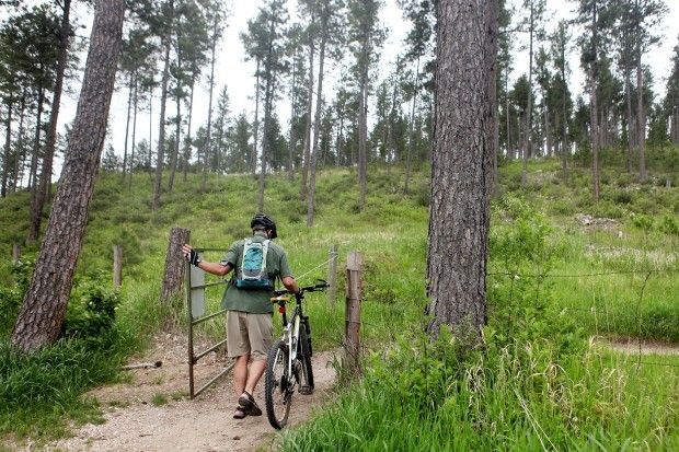 No. 53 Centennial Trail